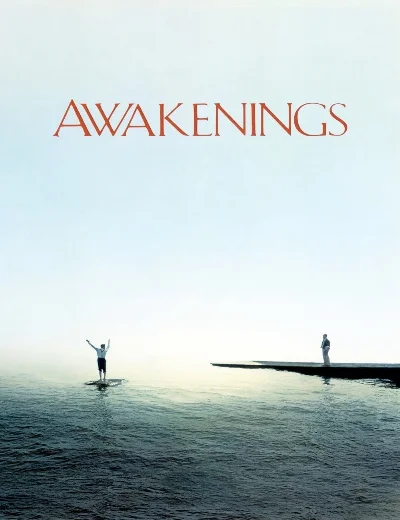 AwakeningsHình bìa
