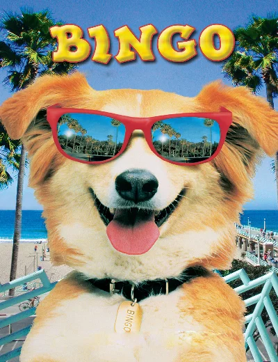 BingoHình bìa