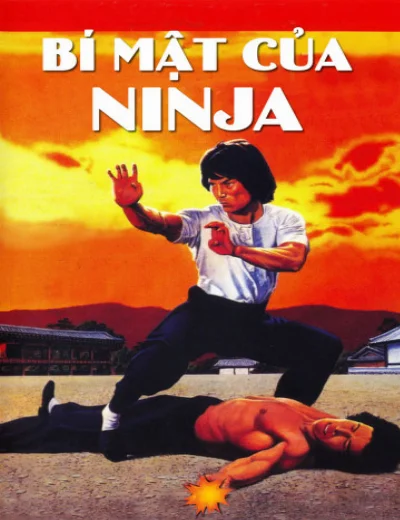Bí Mật Của NinjaHình bìa