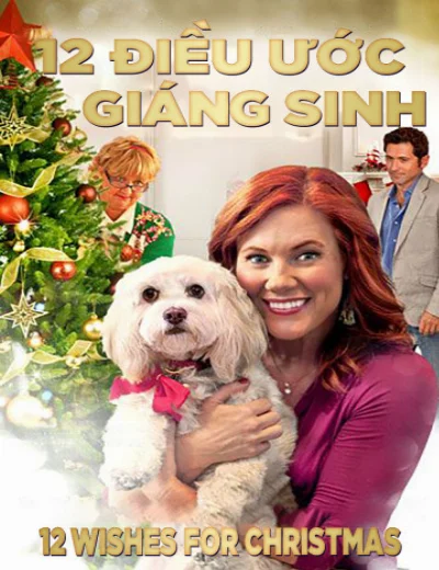 12 Điều Ước Giáng SinhHình bìa
