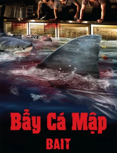 Bẫy Cá MậpHình bìa