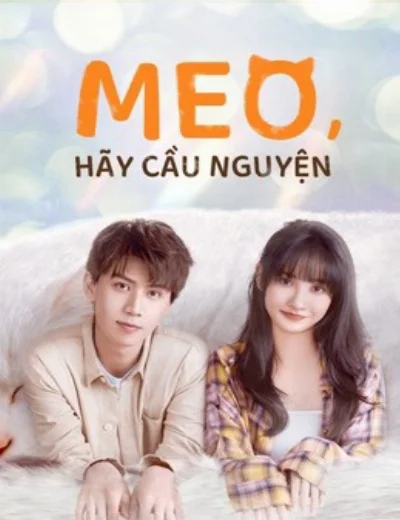 Meo, Hãy Cầu NguyệnHình bìa