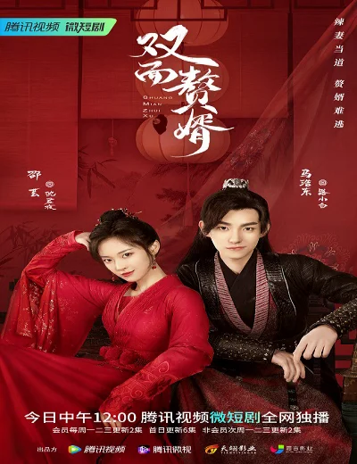 Chàng Rể Hai MặtHình bìa
