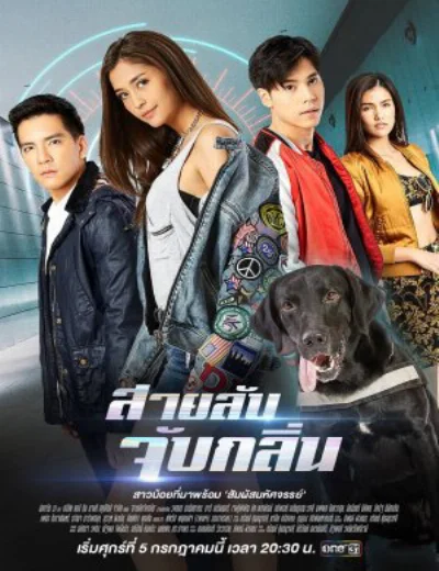 Điệp Viên Săn MùiHình bìa