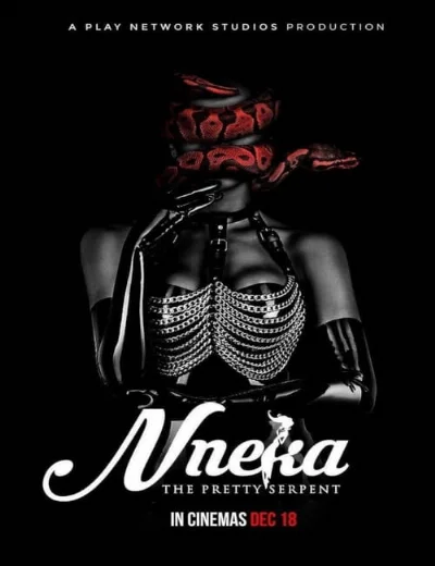 Nneka: Xà nữ xinh đẹpHình bìa