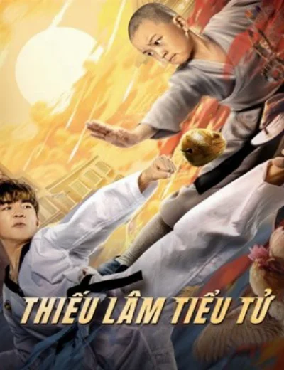 Thiếu Lâm Tiểu TửHình bìa