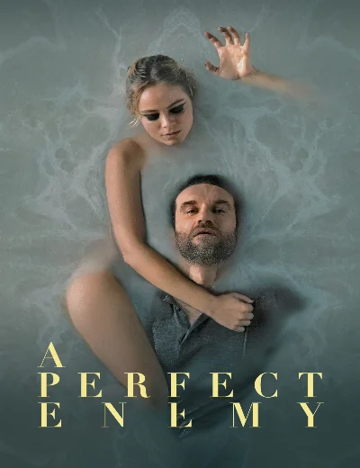 A Perfect EnemyHình bìa
