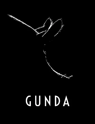 GundaHình bìa