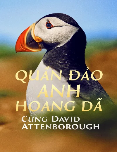 Quần Đảo Anh Hoang DãHình bìa