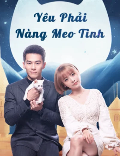 Yêu Phải Nàng Meo TinhHình bìa