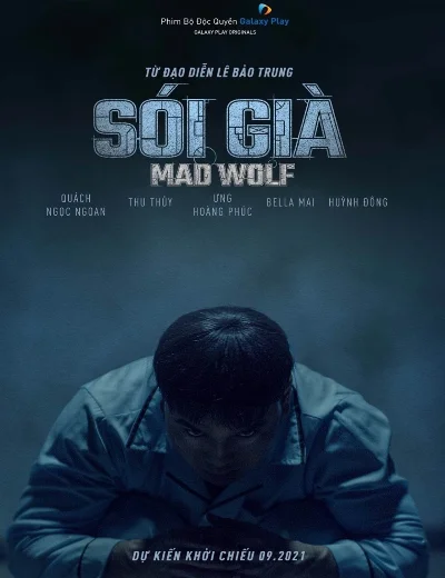 Sói GiàHình bìa