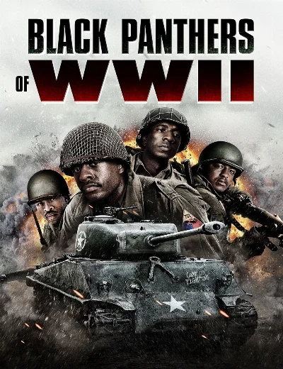 Black Panthers of WWIIHình bìa