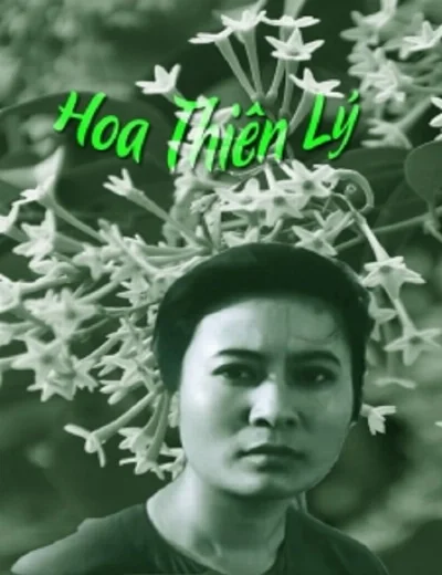 Hoa Thiên LýHình bìa