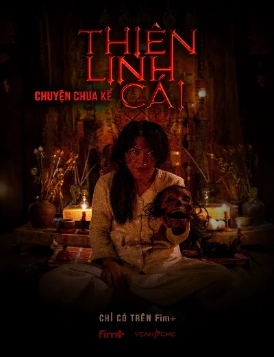 Thiên Linh Cái: Chuyện Chưa KểHình bìa