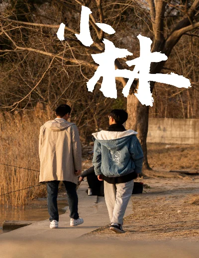 Xiao LinHình bìa