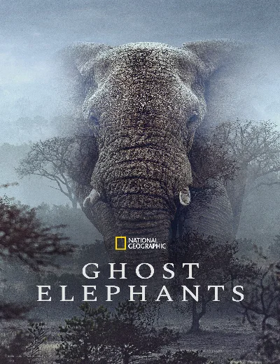 Ghost ElephantsHình bìa