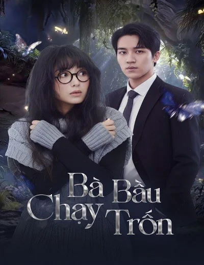 Bà Bầu Chạy TrốnHình bìa
