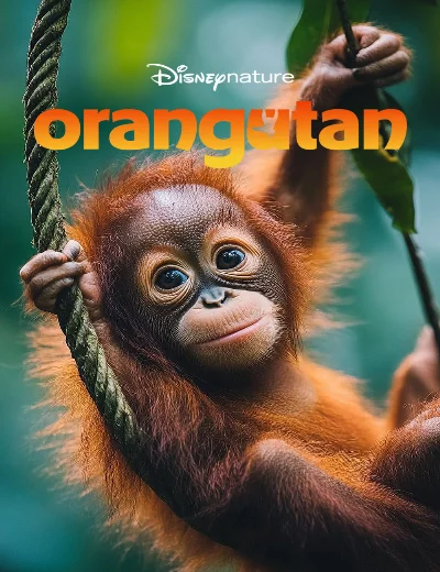 OrangutanHình bìa