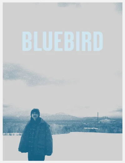BluebirdHình bìa